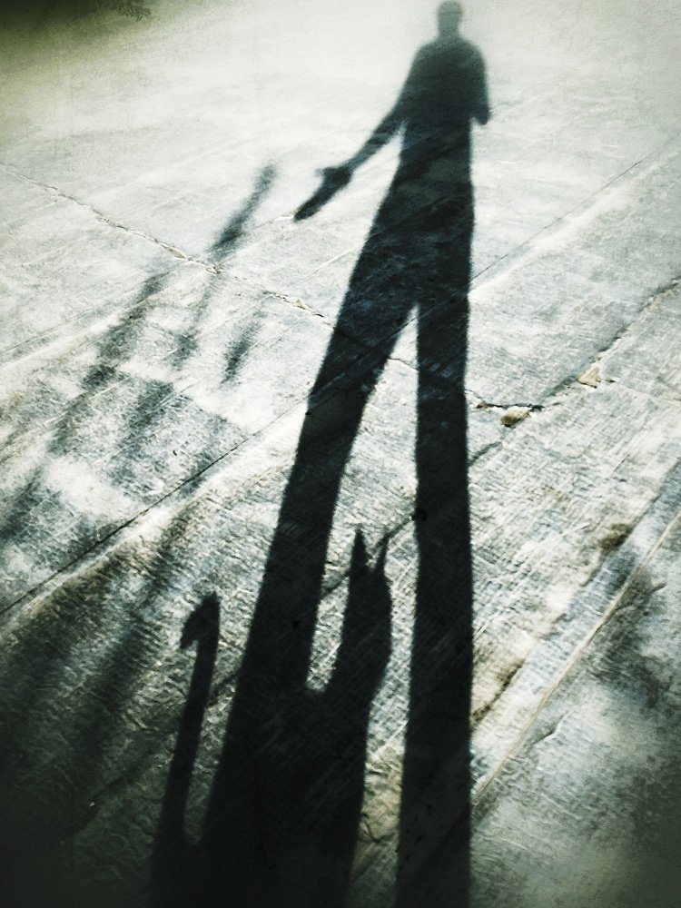 Фотография автора Hamidreza Saedi