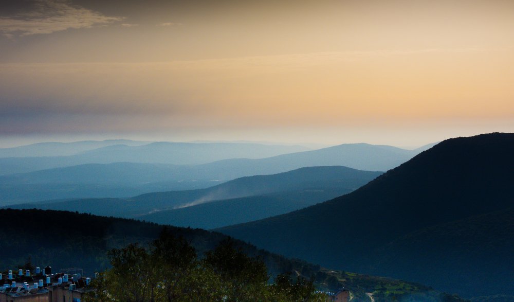 Photograph by Михаил Заброцкий