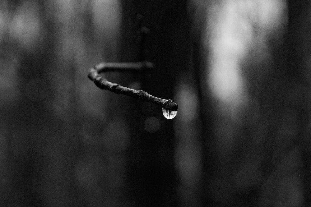 Photograph by Валентин Севастьянов