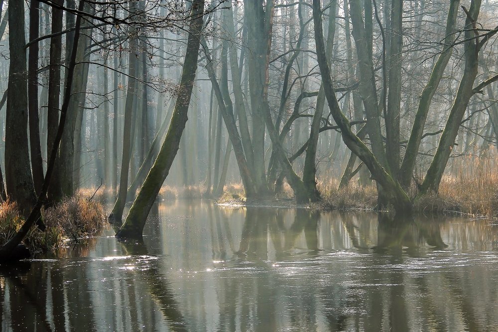 Photograph by  MiroM