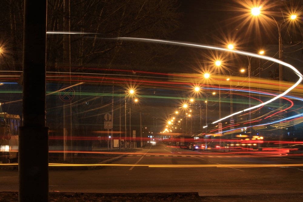 Фотография автора Елена Шатило