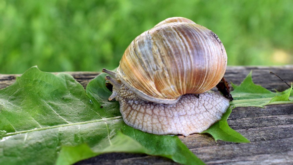 Photograph by Валерий Талейко