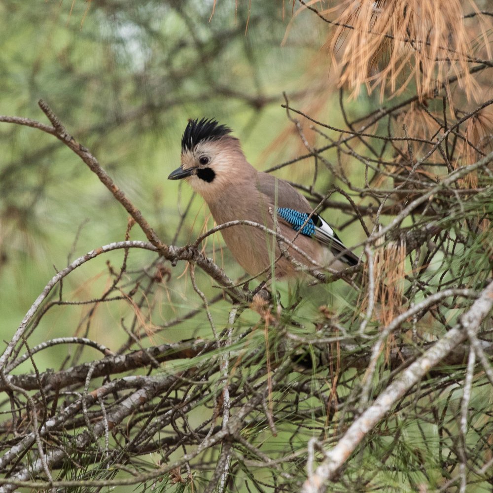 Photograph by Олег Башкуров
