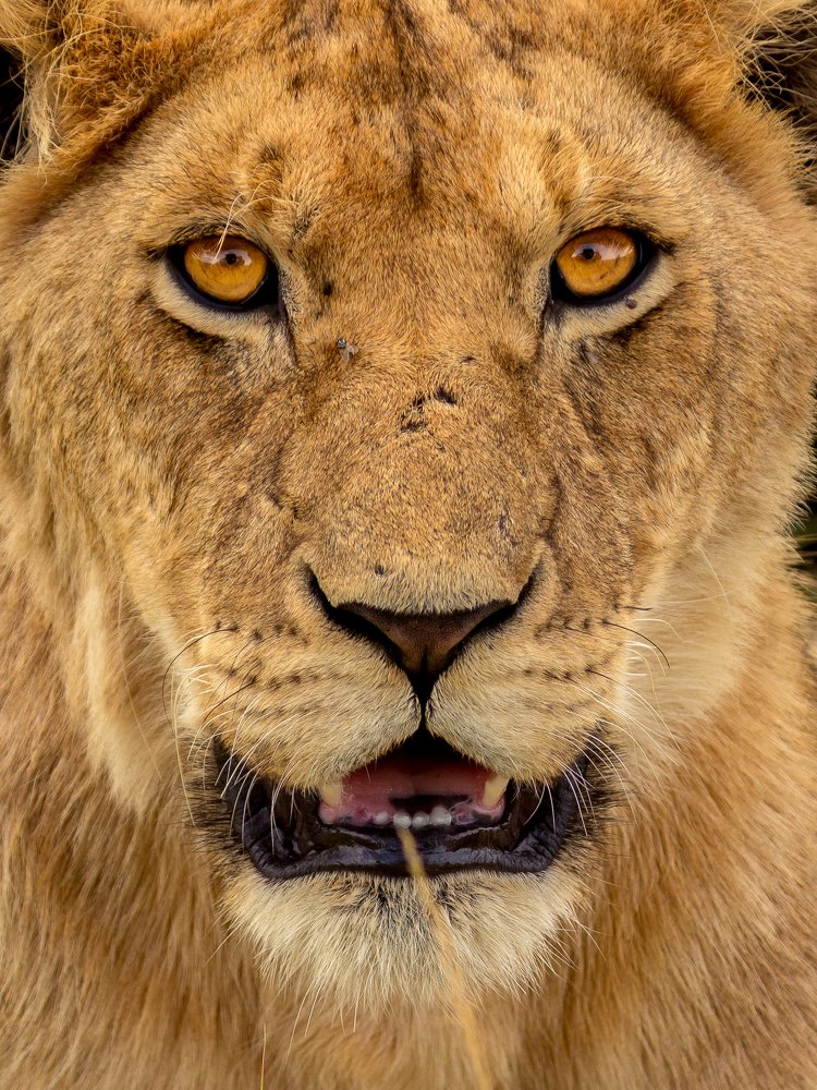 Photograph by Yashwanth Pavanan