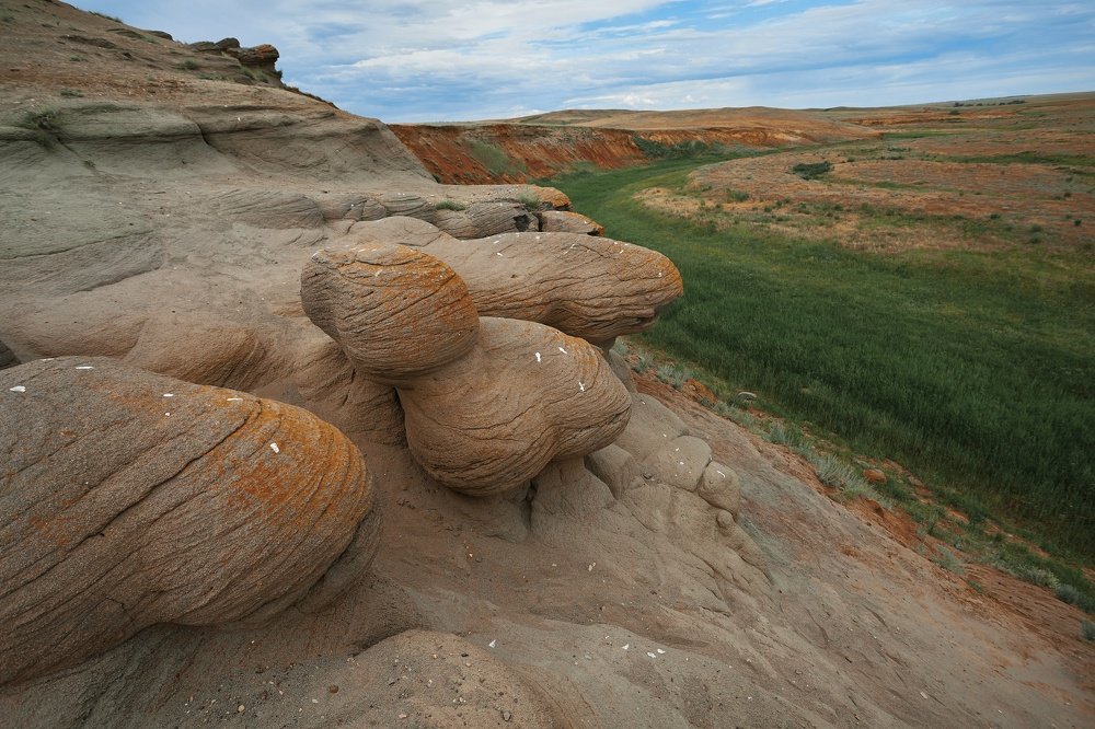 Photograph by Алексей Курочкин