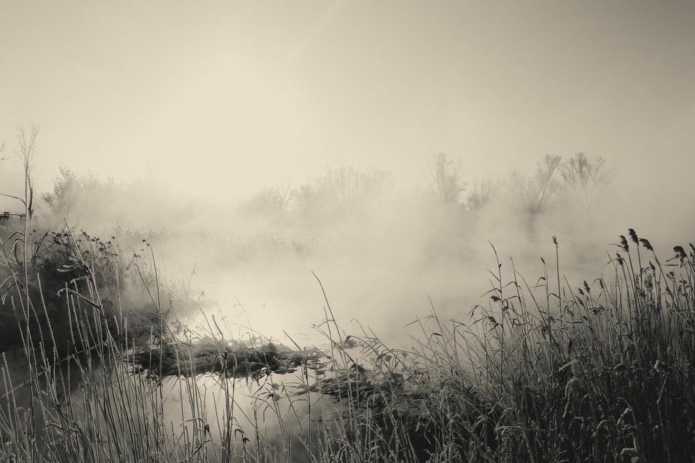 Фотография автора Yermek Zhunusbayev