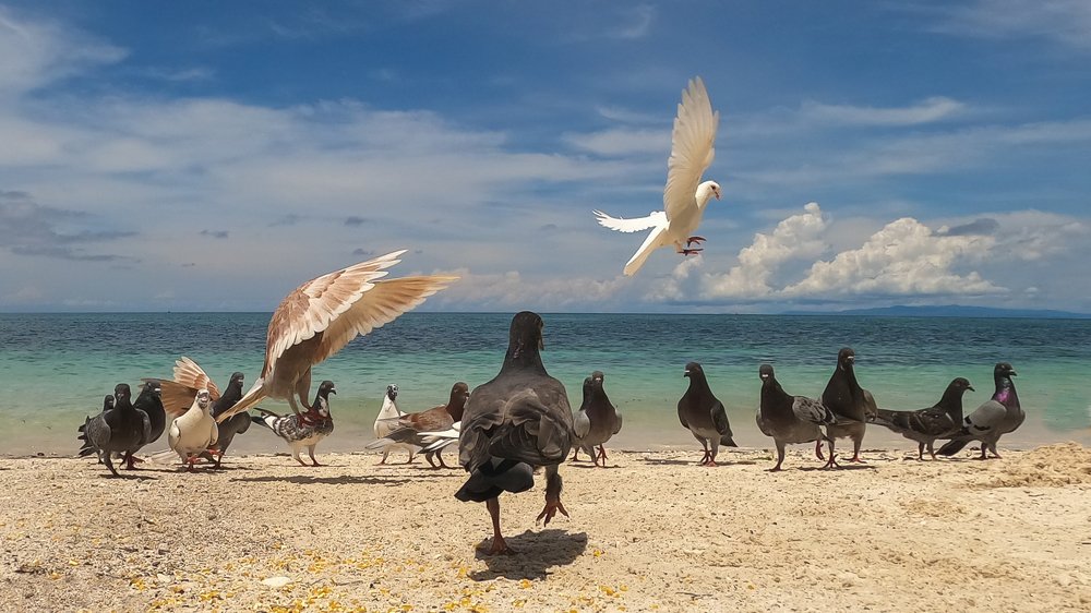 Photograph by Andrey