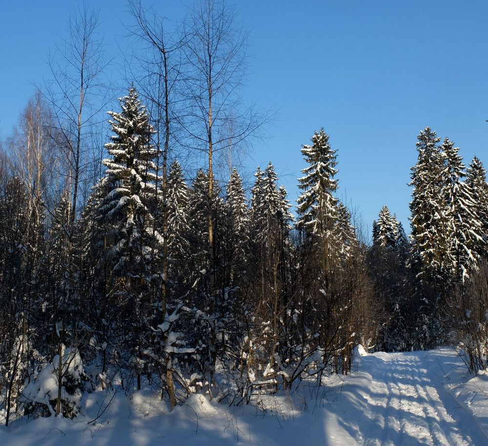 Photograph by Ираида Стародубцева