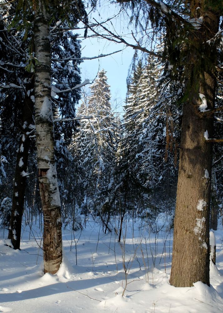 Photograph by Ираида Стародубцева