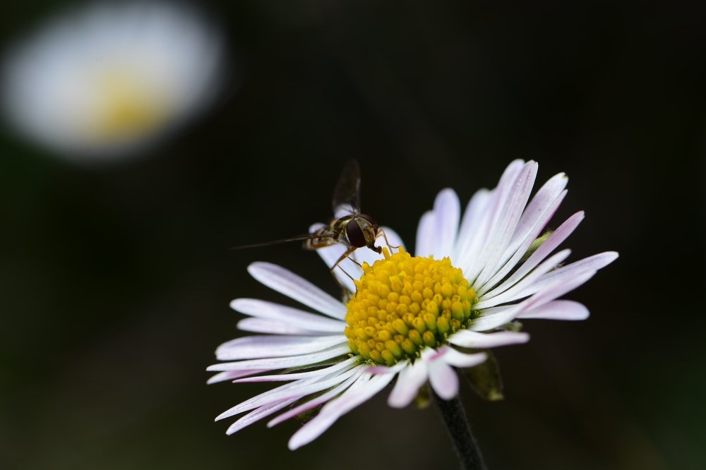 Photograph by NIKOS KATEROUDAKIS