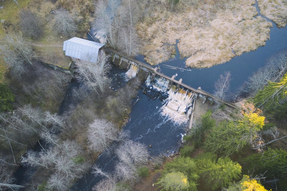 Photograph by Светлана Краюшкина