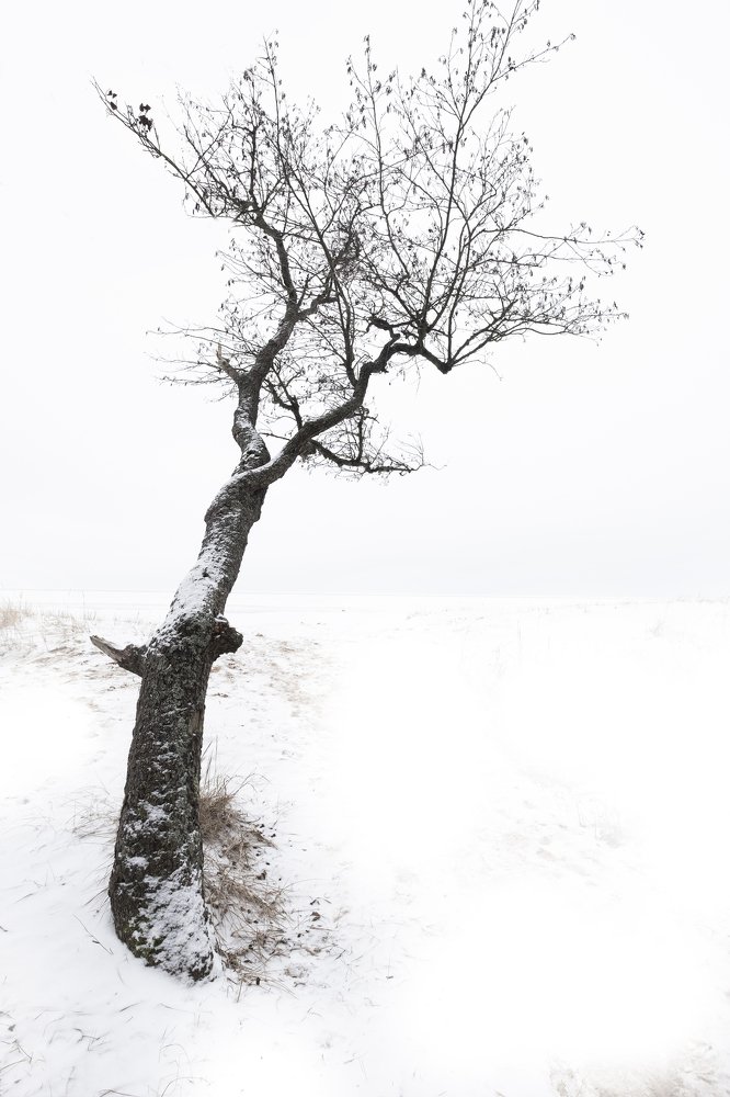 Photograph by Светлана Краюшкина