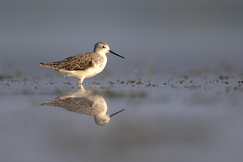 Photograph by Senadheera Danushka