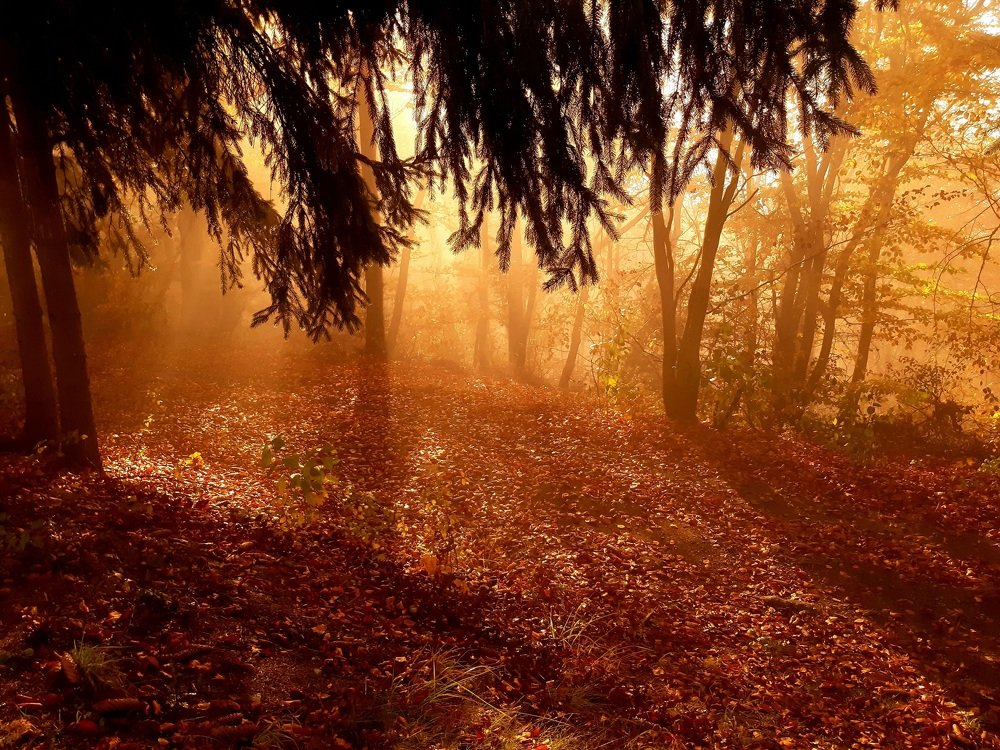 Photograph by Martin Majling