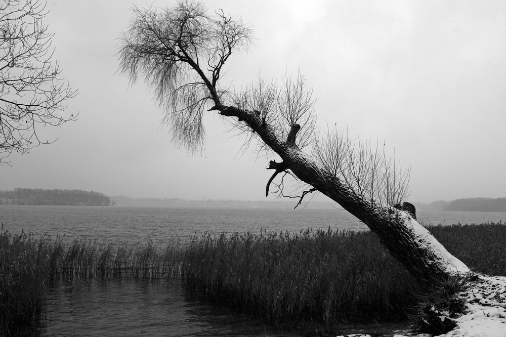 Первый день зимы...