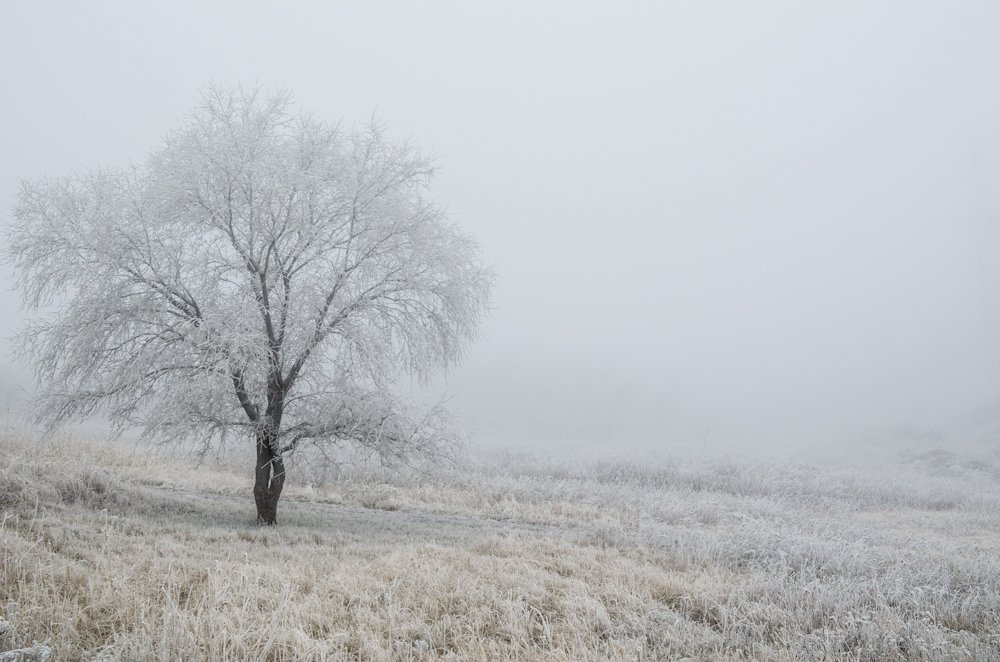 Фотография автора Vladislav Shilo