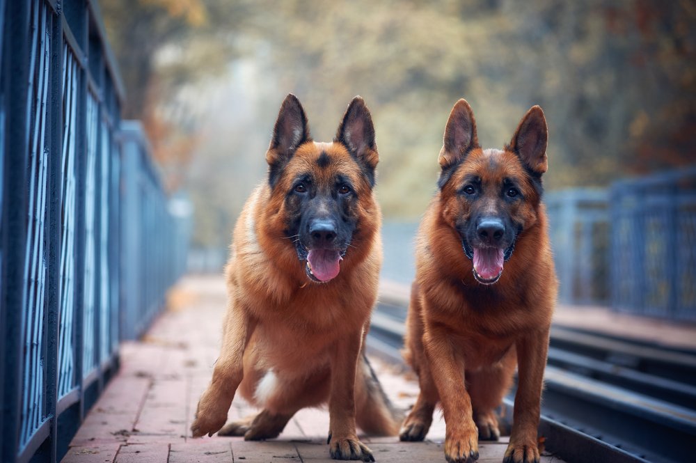 Фотография автора Дарина Матасова