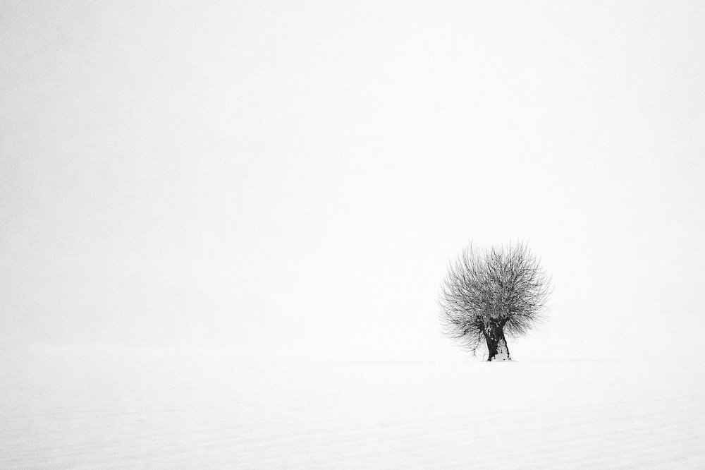 Photograph by Giuseppe Galli