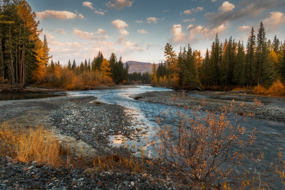 Осенний Джазатор