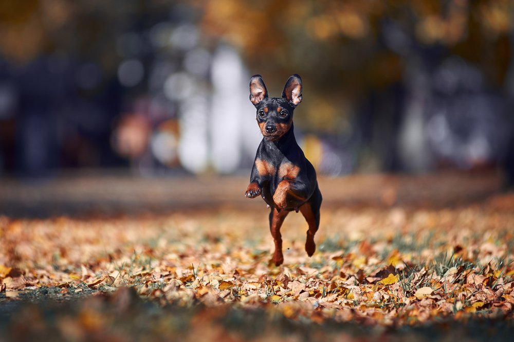 Фотография автора Дарина Матасова