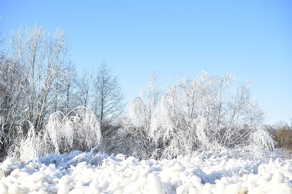 Photograph by Марина Шевцова