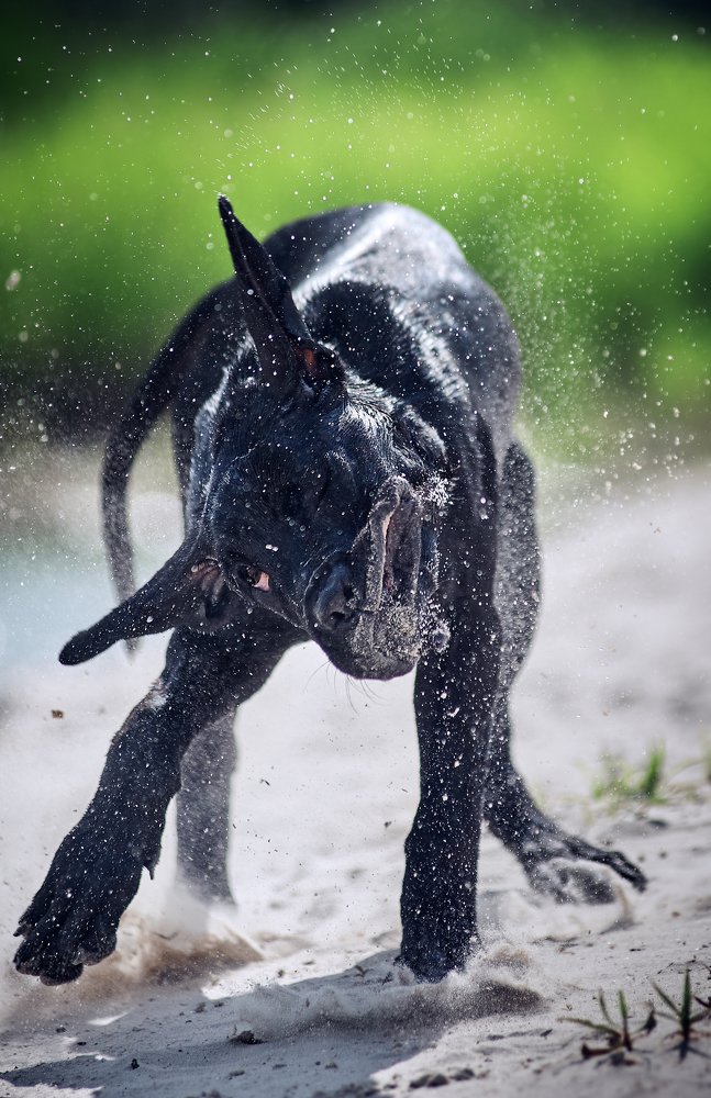 Фотография автора Дарина Матасова
