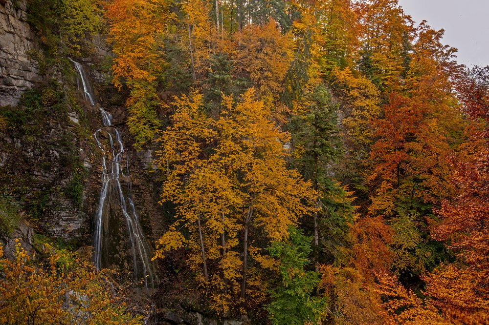 Photograph by Jürgen Büchel