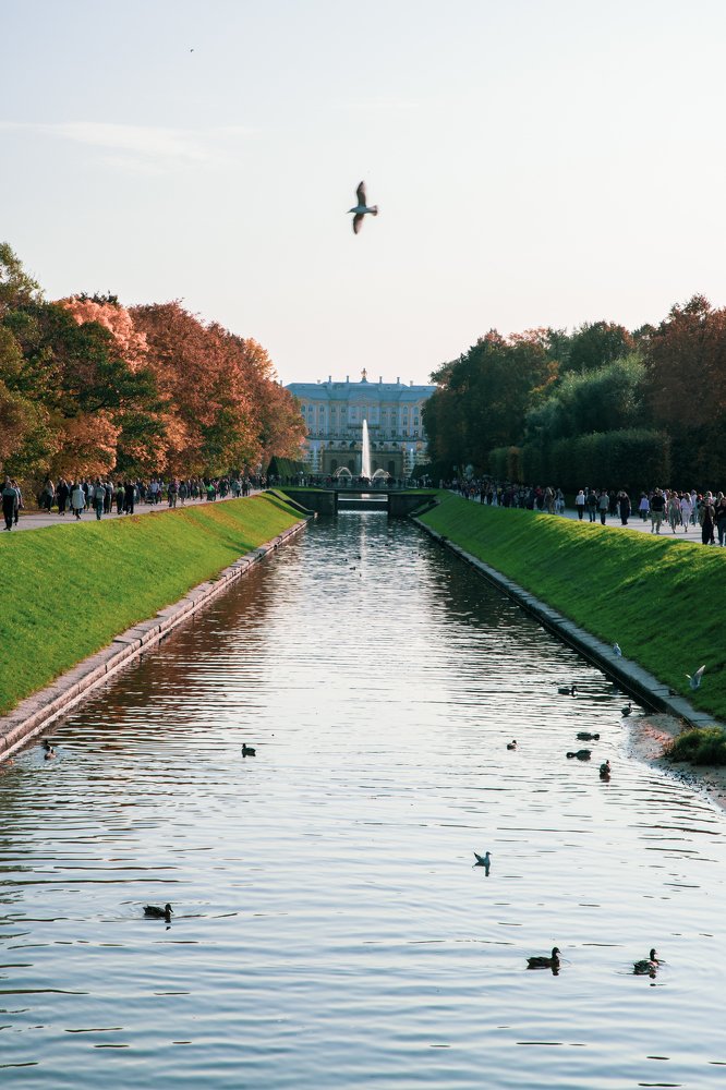 Photograph by Константин Басалов