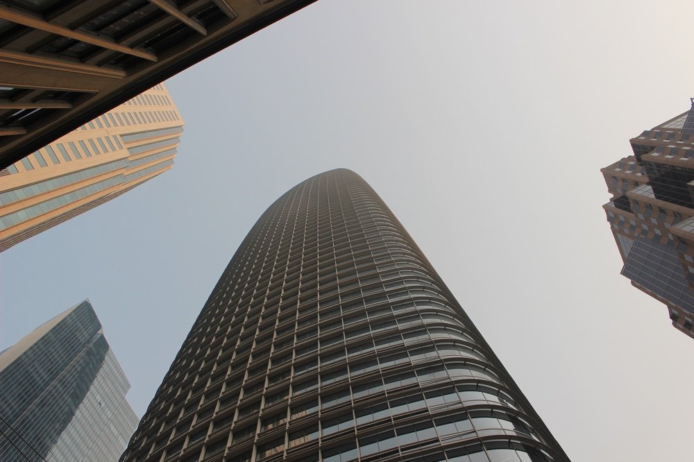 San Francisco Look Up