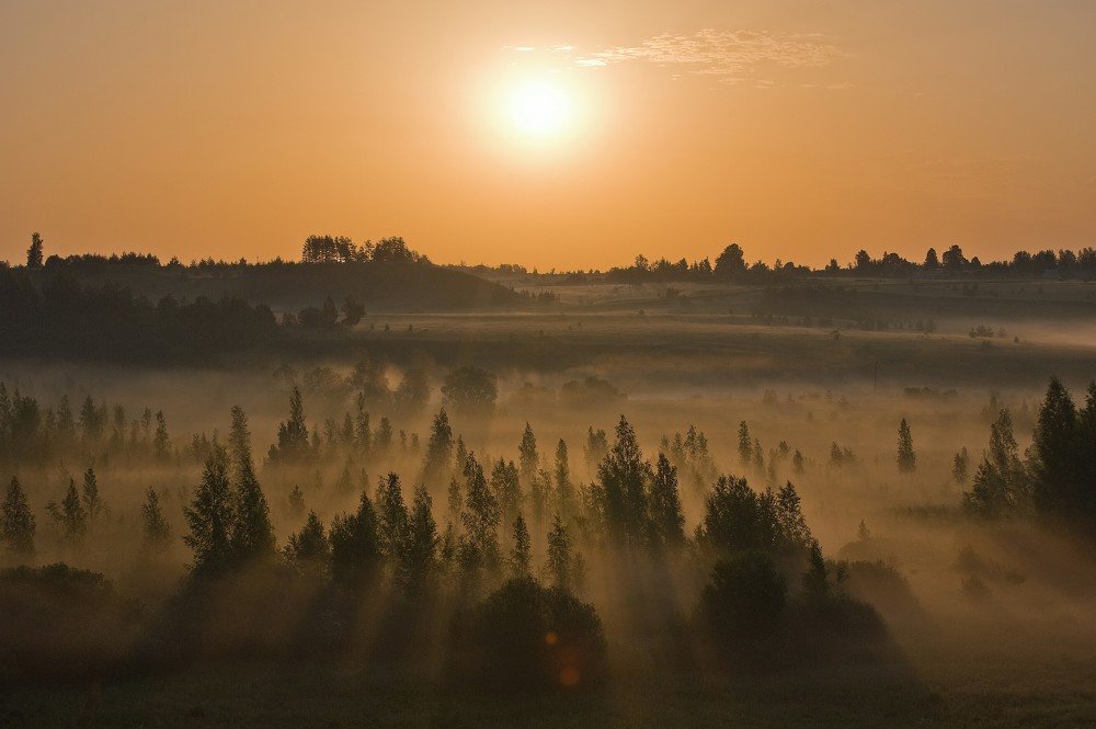 Photograph by Юрий Яковлев