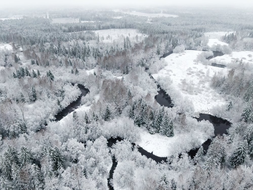 Photograph by Александр Абросимов