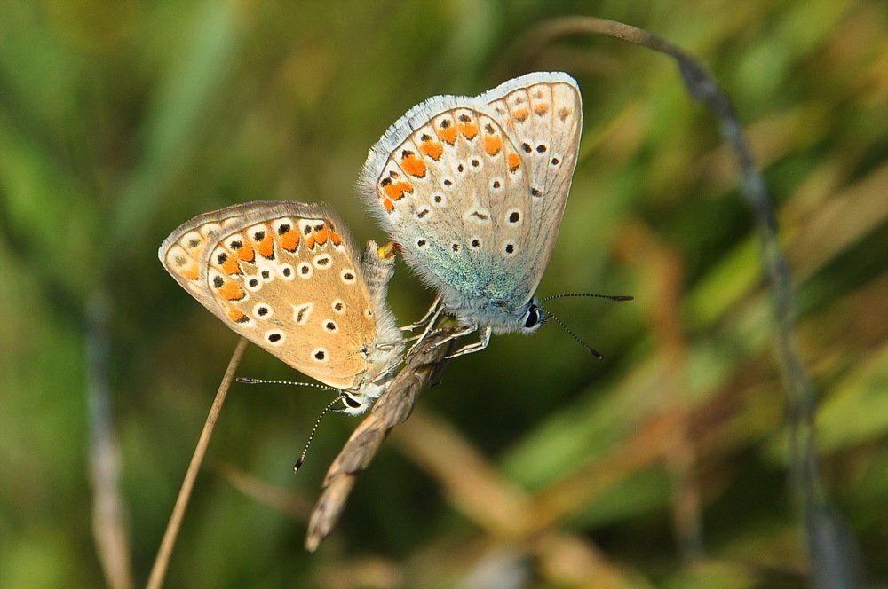 Photograph by Александр Штифман
