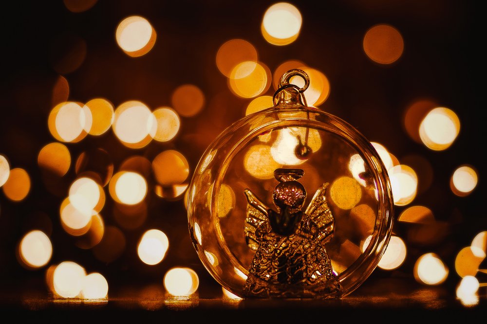 Фотография автора Мария Трасковская