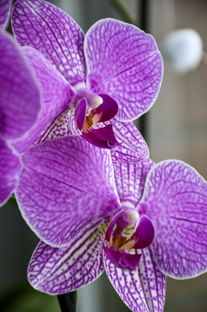 Photograph by Людмила Леонтьева