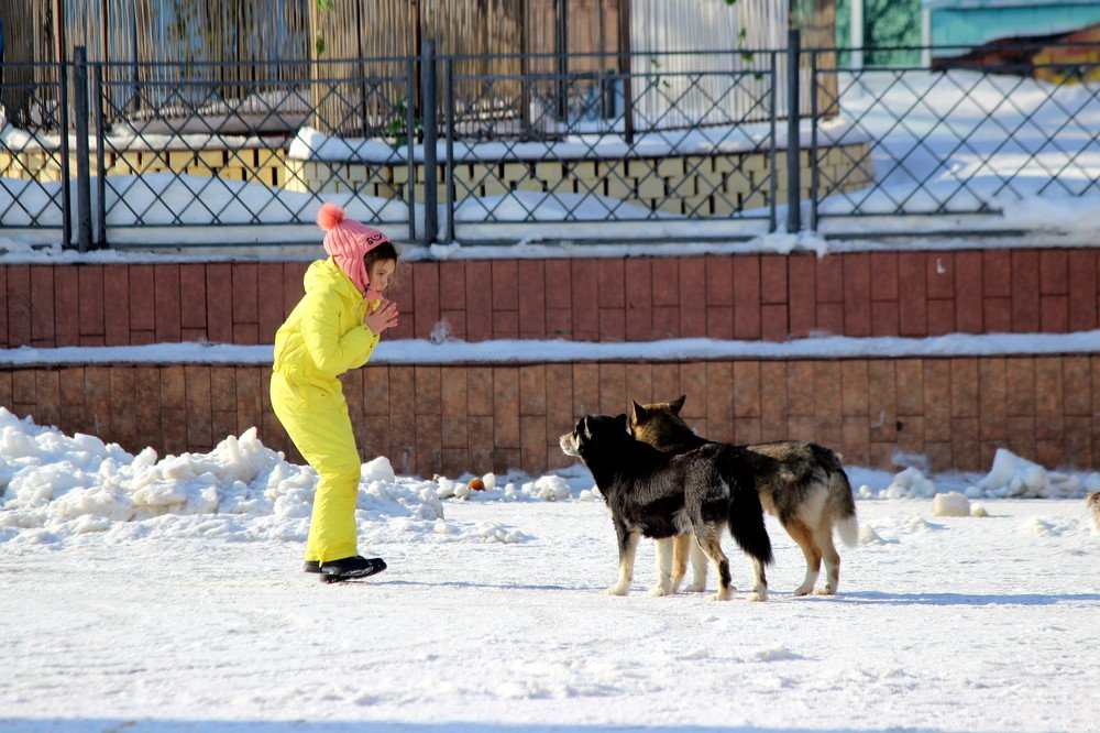 Photograph by Жанна Валиева