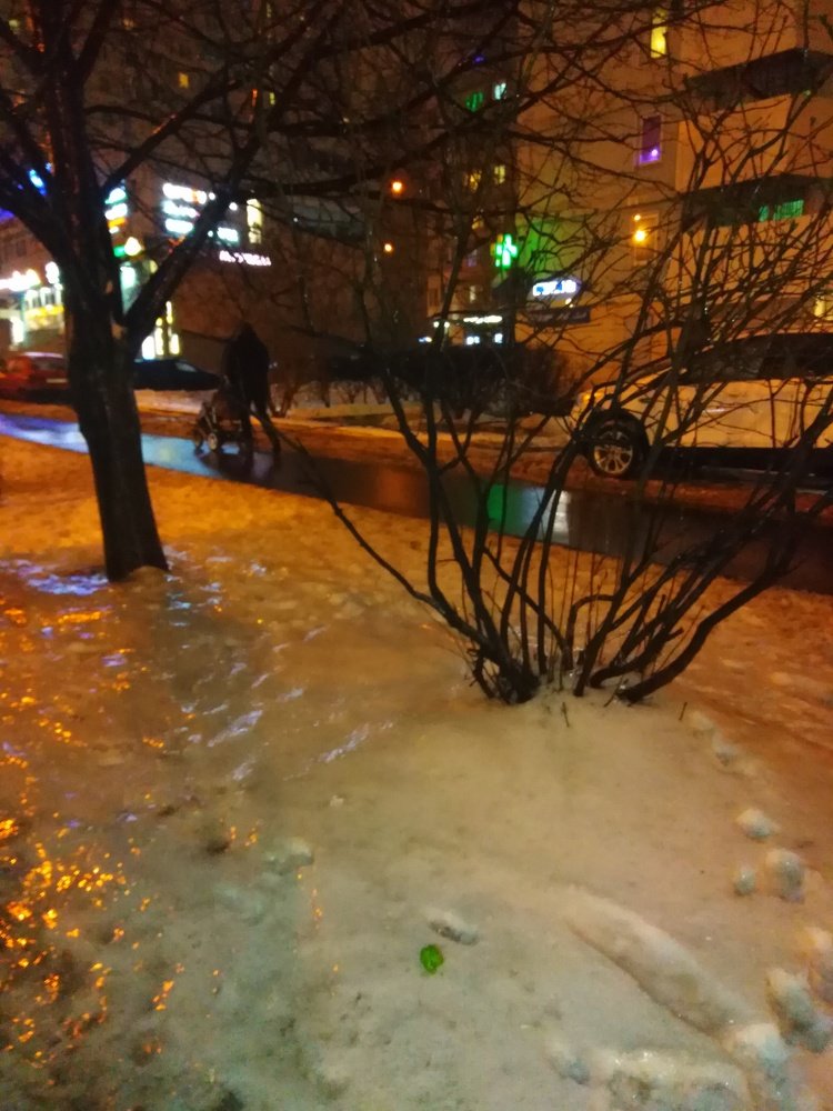 Photograph by Татьяна Ситникова