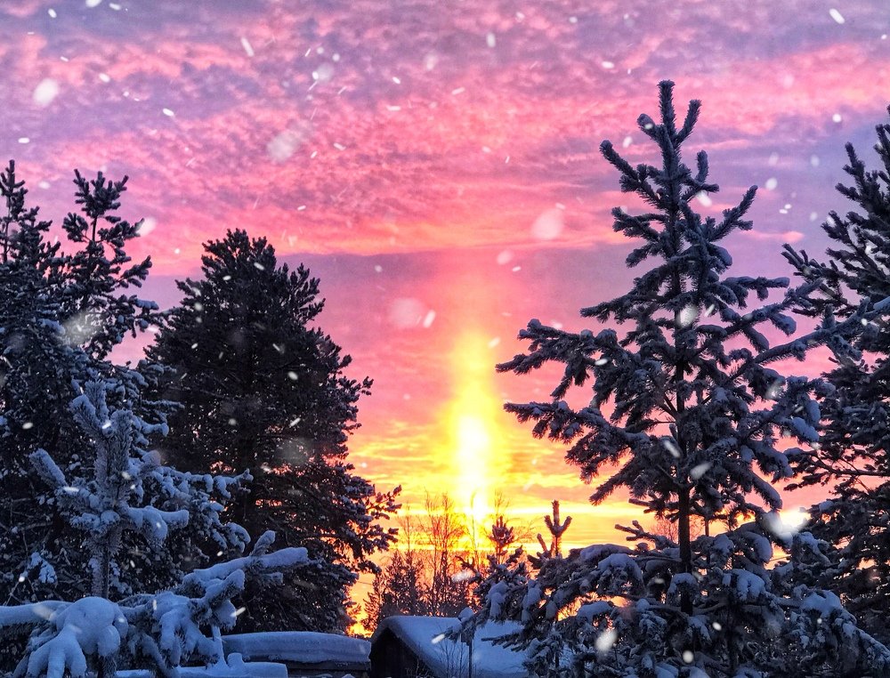 Photograph by Мария Шрейдер