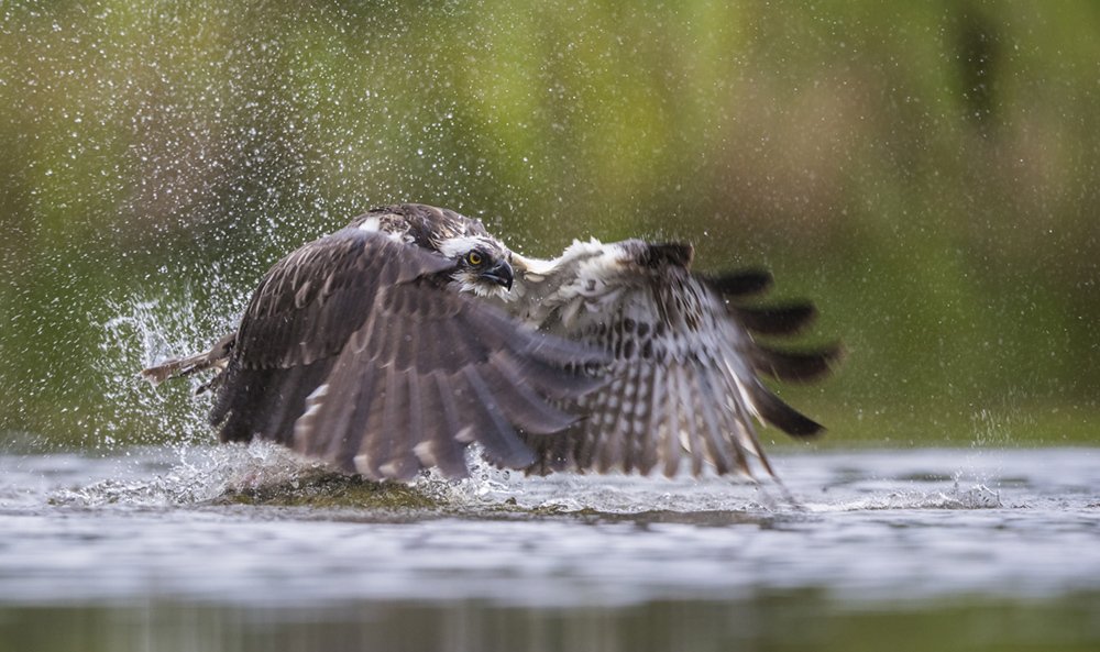 Photograph by TRACEY LUND