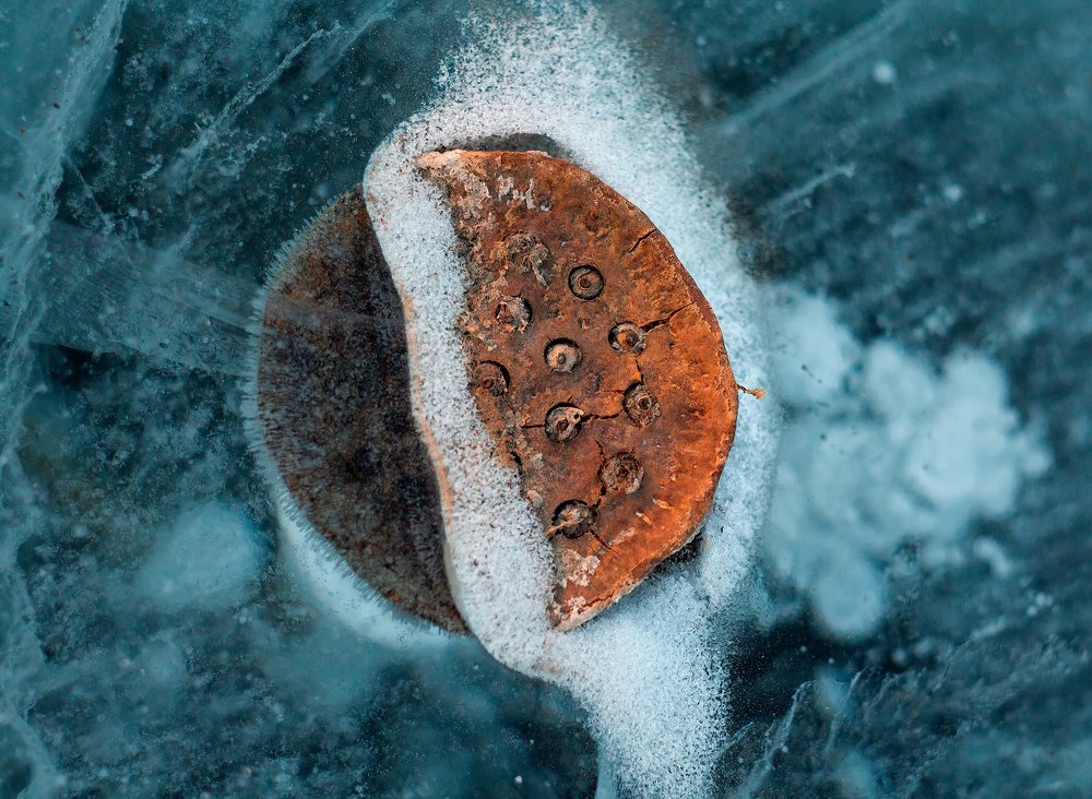 Замерший лотос