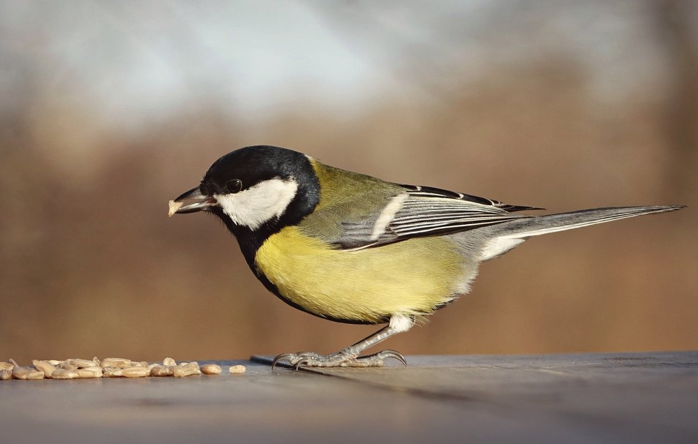 Фотография автора Валентина Гундарева