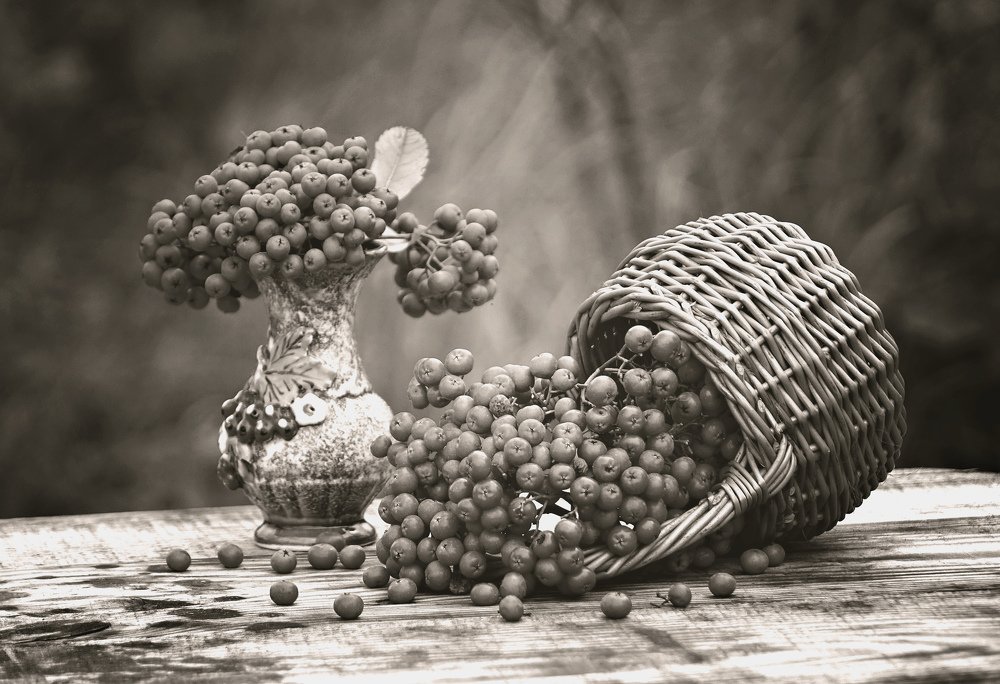 Фотография автора Валентина Гундарева