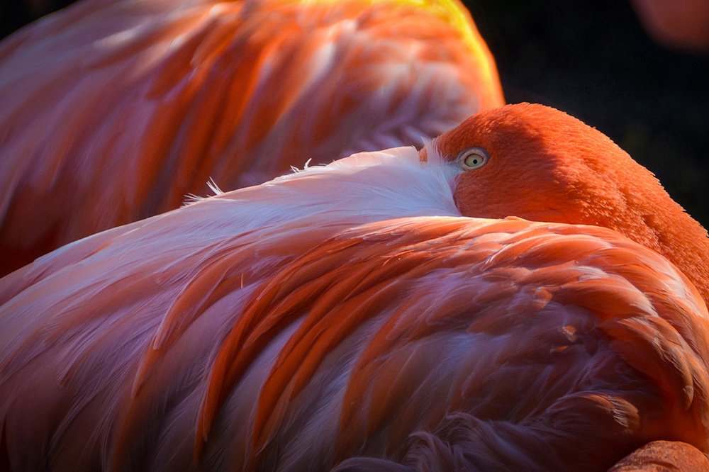 Photograph by Ольга