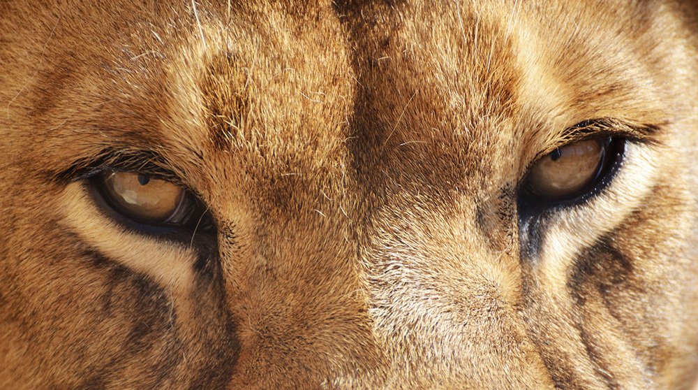 Photograph by Ольга