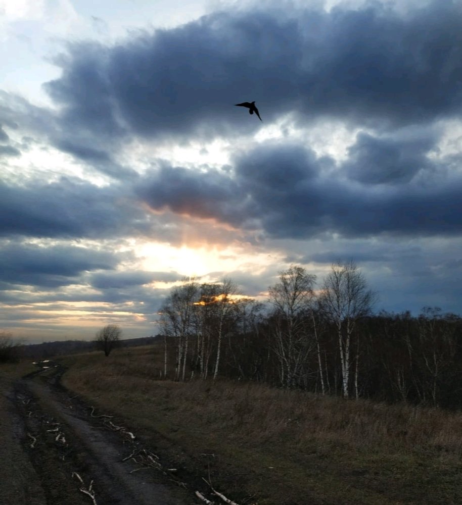 Photograph by Артем Саломатов