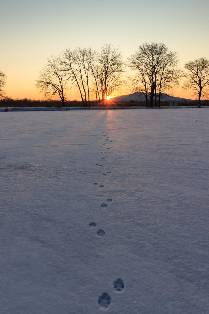 Photograph by Sergey Tsubanov
