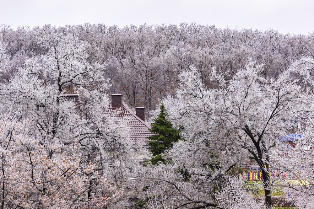 Photograph by Sergey Tsubanov