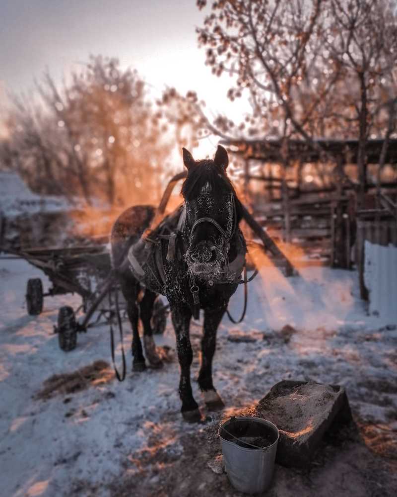 Photograph by Юлия Галяутдинова