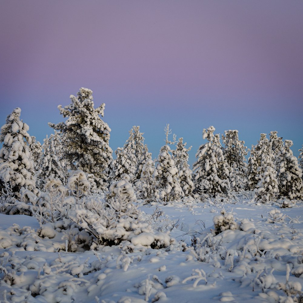 Сине-розовый закат