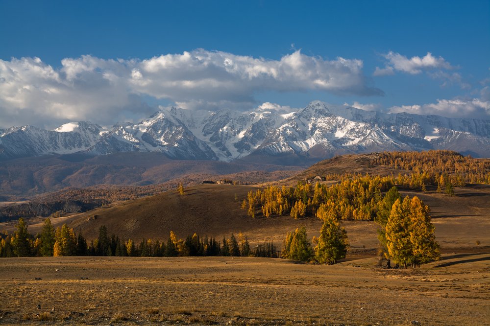 С видом на Северо-Чуйский хребет