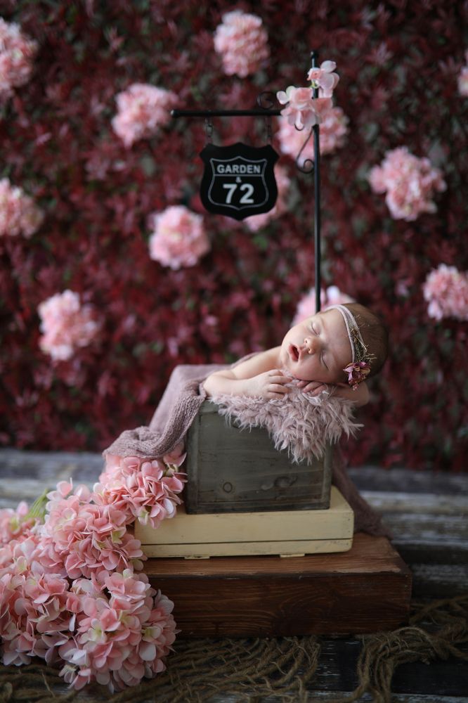 Новая жизнь